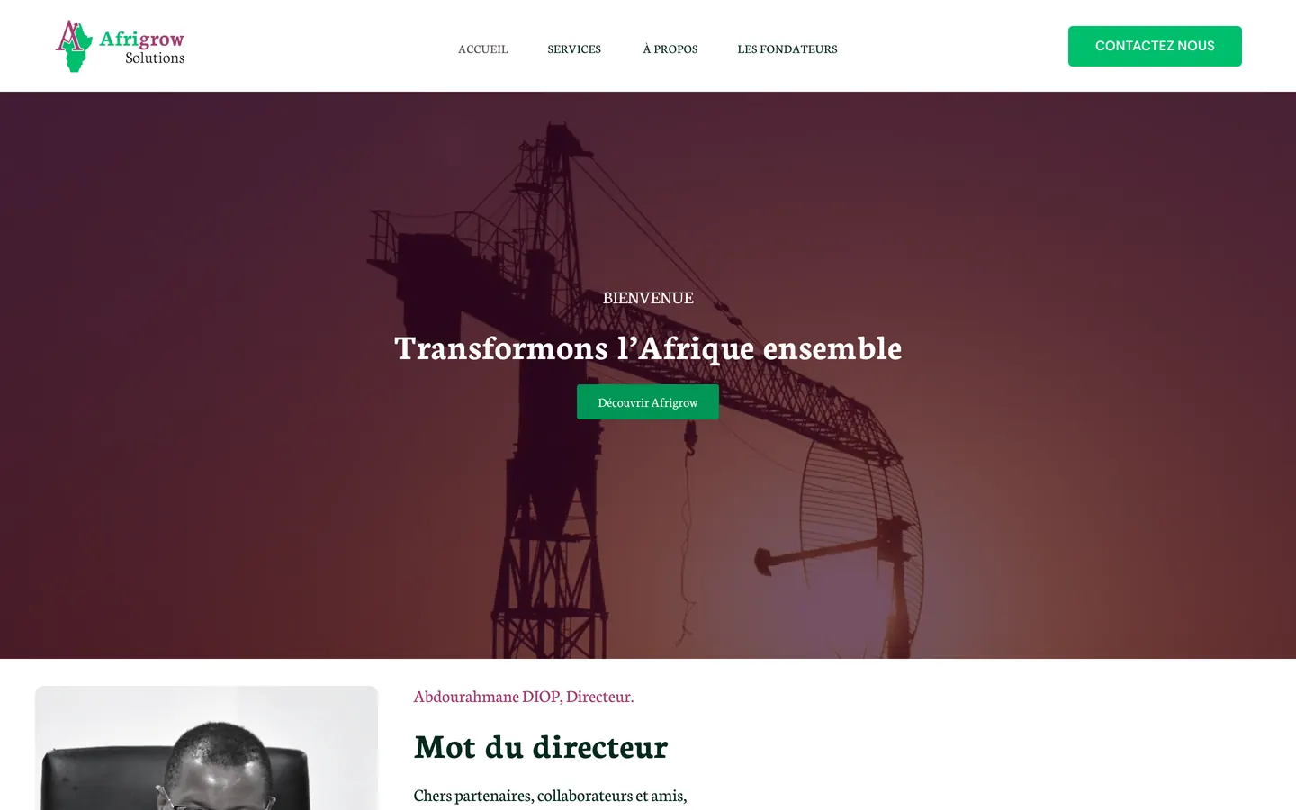 Page de Afrigrow Solutions sur ordinateur